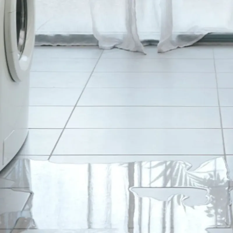 Appliance Leak Cleanup in Kirby, TX