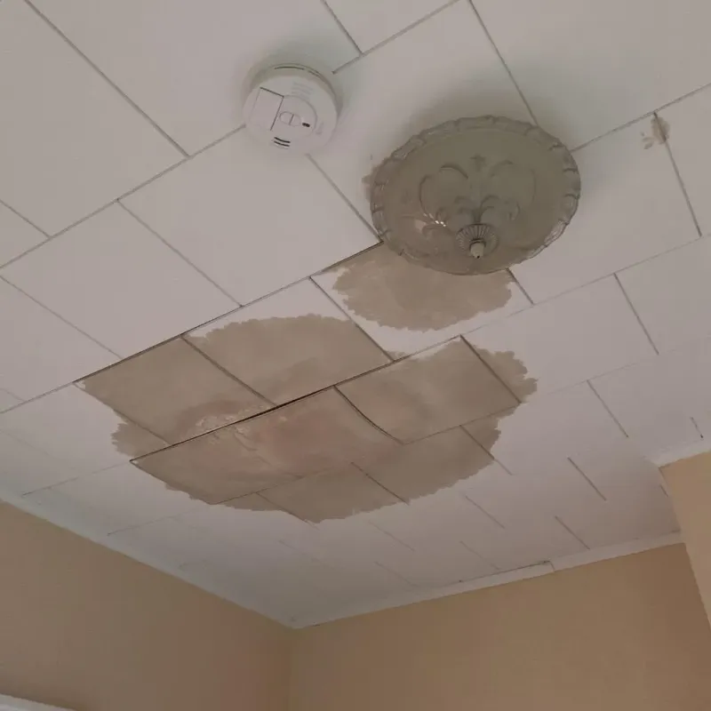 Ceiling Water Damage Repair in Kirby, TX