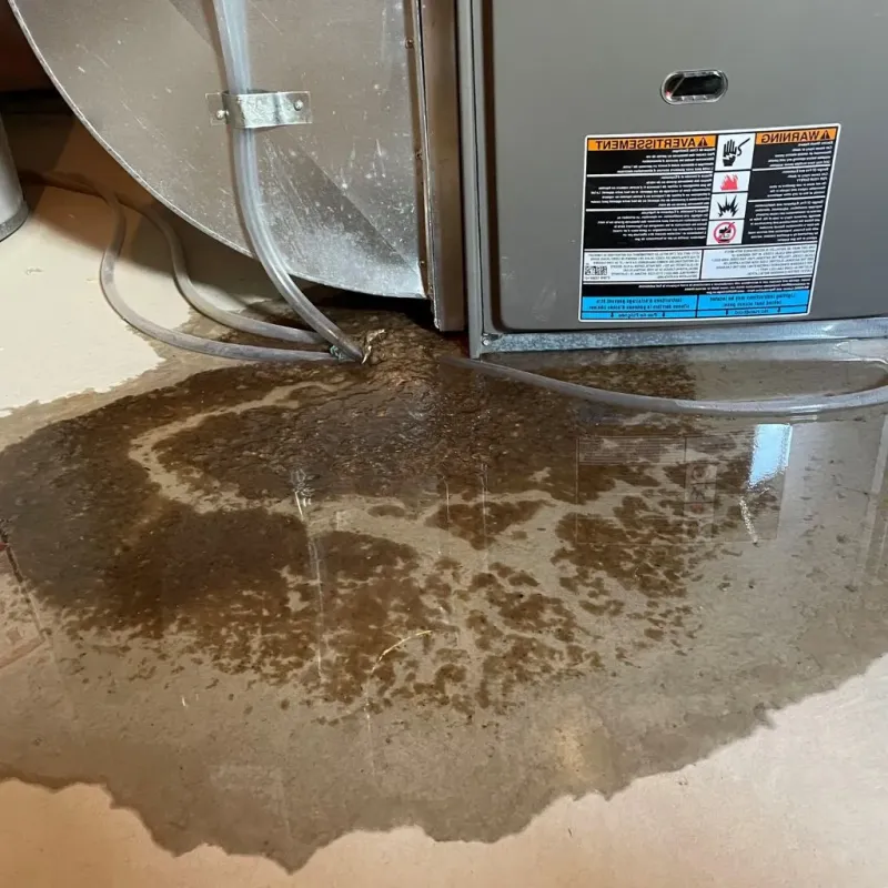 Pipe Burst and Leak Restoration in Kirby, TX