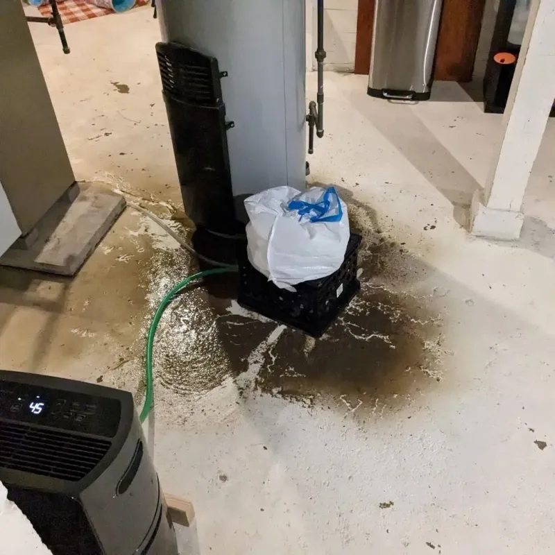 Sewage Backup Cleanup Service in Kirby, TX